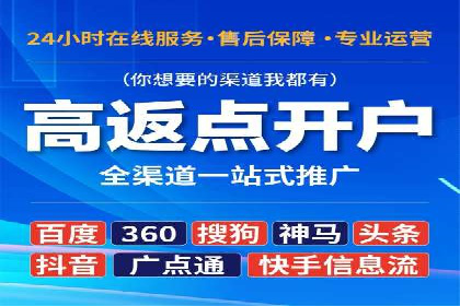 电商行业SEM运营的挑战与成功案例